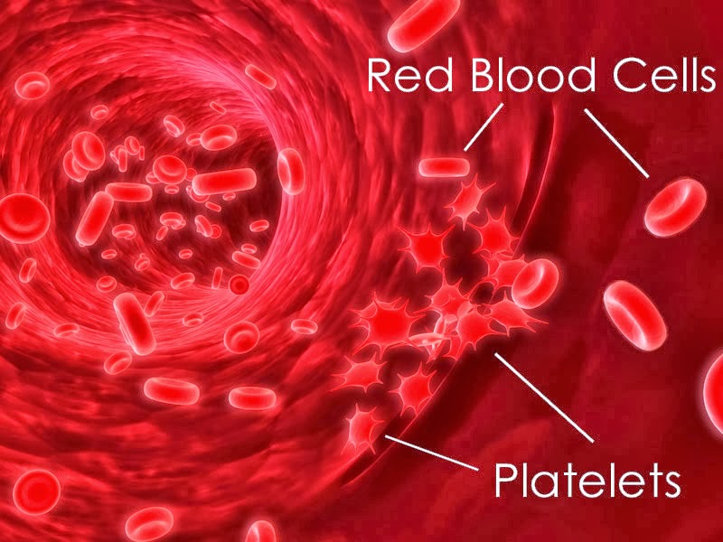 Blood Platelets For Hair Loss